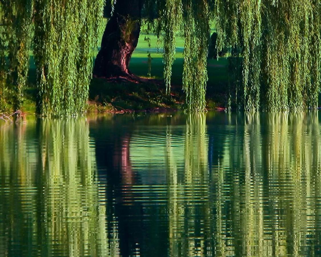 St Andrews By The Lake Golf Resort Kaleden エクステリア 写真